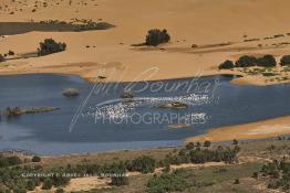 Image du Maroc Professionnelle de  Vue aérienne de la partie stagnante de la Sakia Al Hamra au environ de Laayoune où des oiseaux migrateurs comme les flamants roses trouvent refuge et repos durant leur voyage selon la saison, le 9 Avril 2010. (Photo / Abdeljalil Bounhar)


 